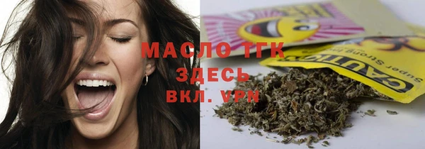 прущие грибы Наволоки