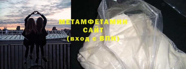 прущие грибы Наволоки