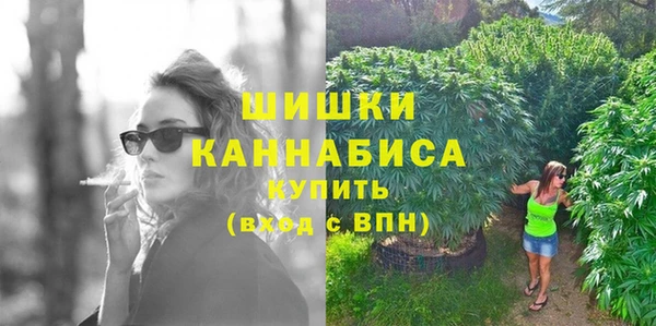 дживик Анива