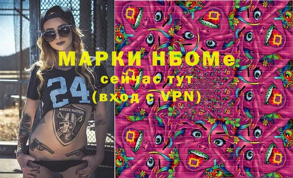 прущие грибы Наволоки