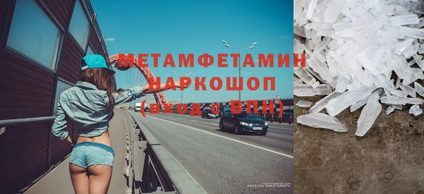 прущие грибы Наволоки