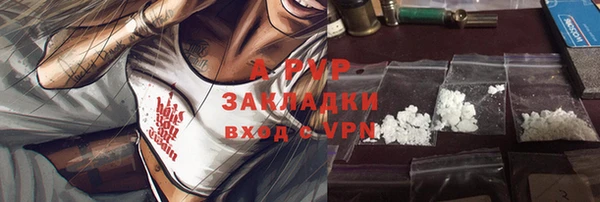 прущие грибы Наволоки