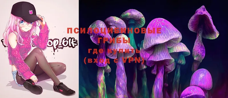 Галлюциногенные грибы Magic Shrooms  купить закладку  Гаврилов Посад 