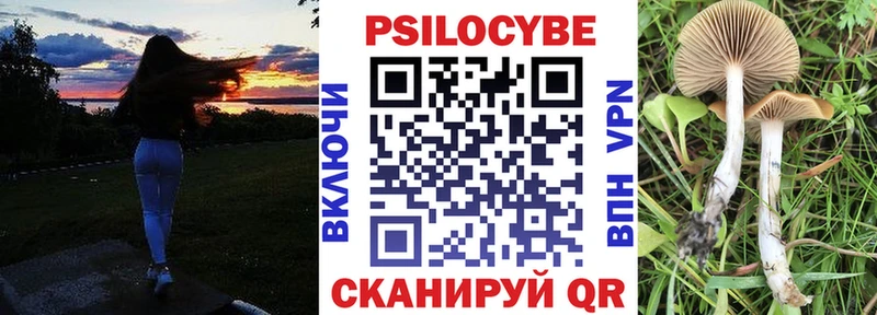 Галлюциногенные грибы мицелий  купить закладку  Гаврилов Посад 